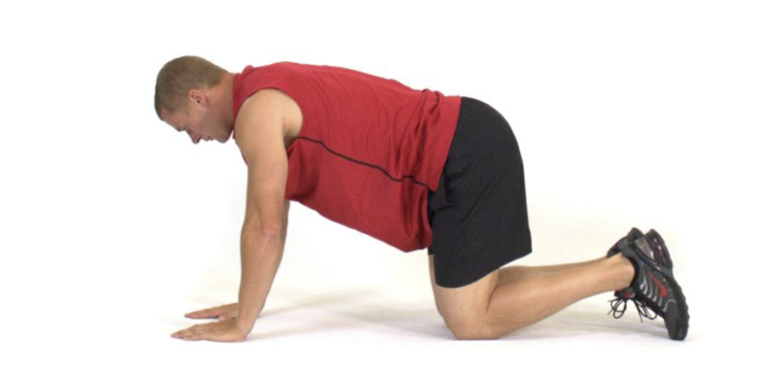 Quadruped Hip Extension