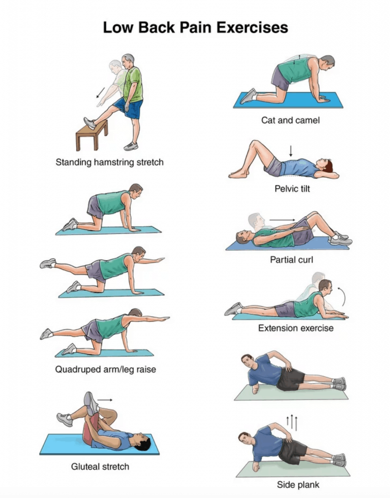 Low back pain,low back pain adalah,low back pain exercise,sakit pinggang