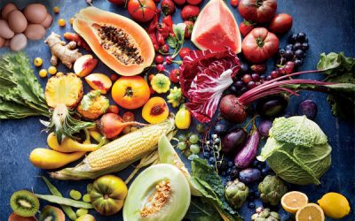 Asupan Nutrisi Yang Baik Dari Makanan Untuk Skoliosis