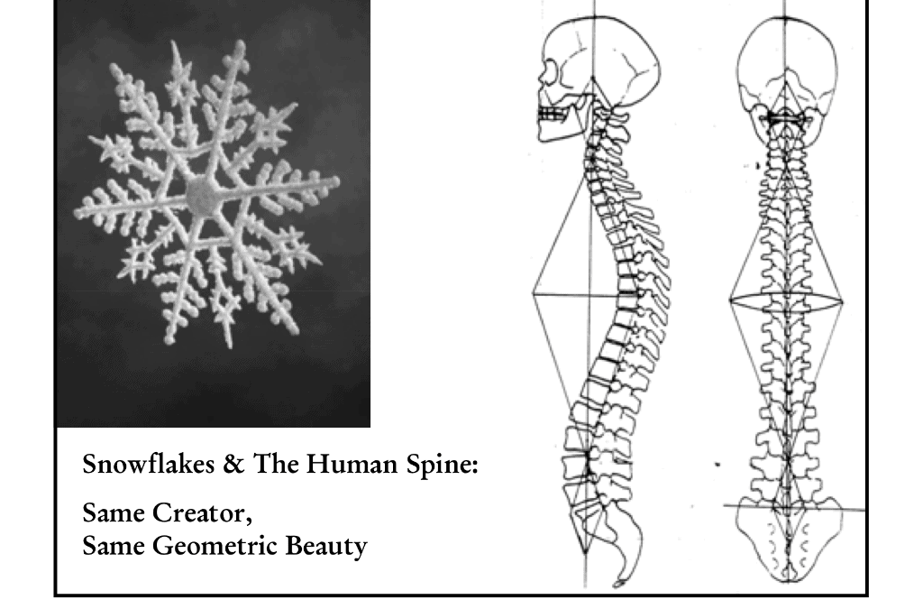 Tulang Belakang Anda adalah Mesin yang Hebat