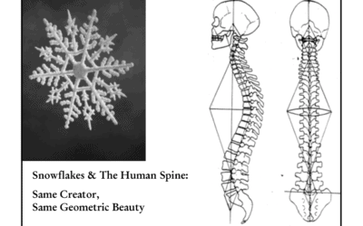 Tulang Belakang Anda adalah Mesin yang Hebat